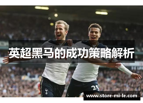 英超黑马的成功策略解析