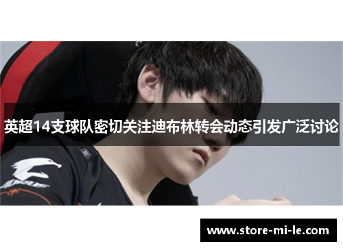 英超14支球队密切关注迪布林转会动态引发广泛讨论