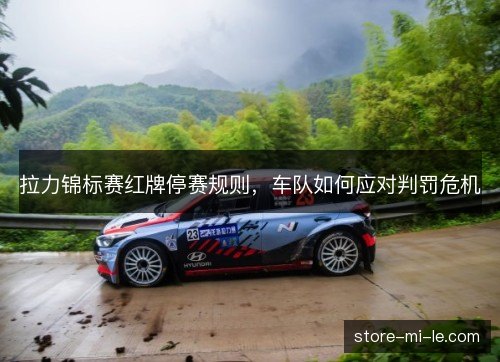 拉力锦标赛红牌停赛规则，车队如何应对判罚危机