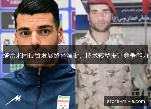 塔雷米同位置发展路径清晰，技术转型提升竞争能力